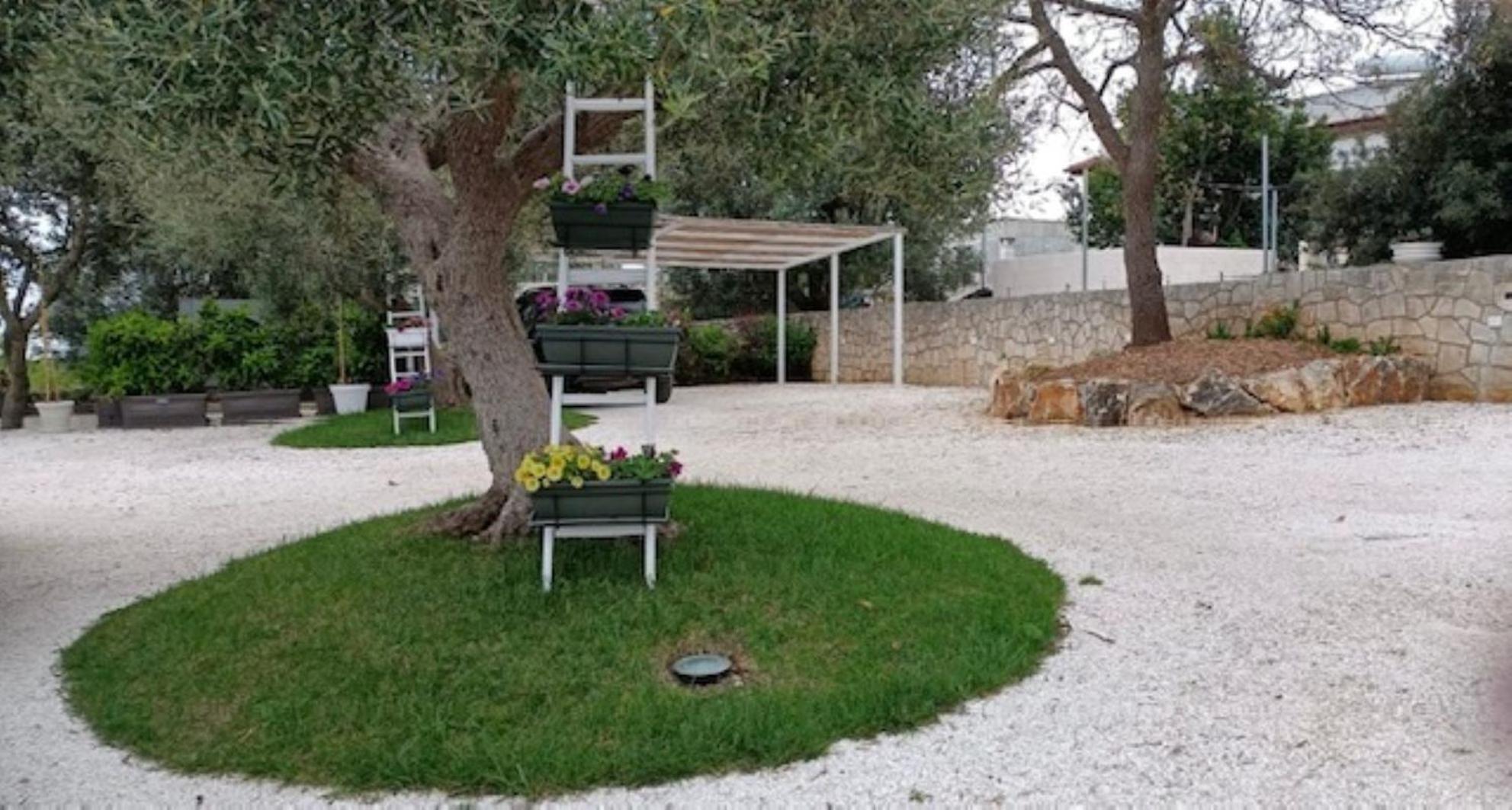 Casa Vacanze 'La Quercia' Cisternino Exteriér fotografie